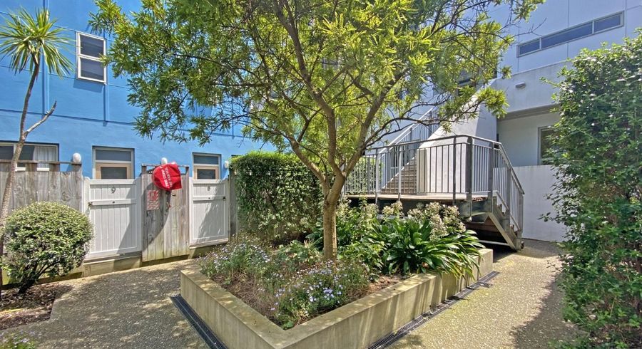  at 1/30 Hanson Street, Mount Cook, Wellington, Wellington
