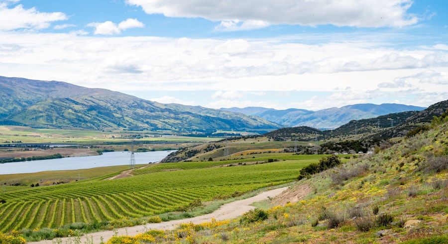  at 355 Lakefront Terrace, Bendigo Hills, Cromwell, Central Otago, Otago