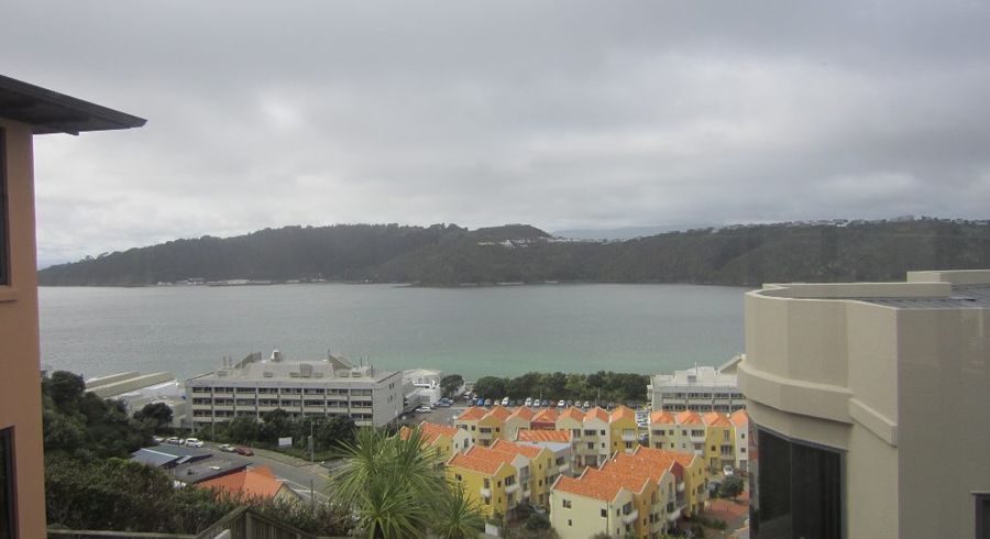  at 17A Treasure Grove, Hataitai, Wellington, Wellington