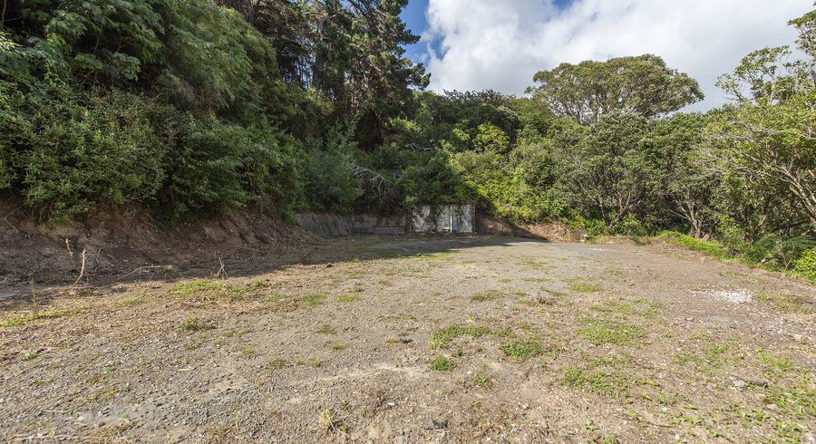  at 1C Holloway Road, Aro Valley, Wellington, Wellington