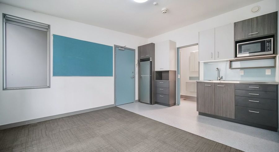  at 30/25 Dundonald Street, Eden Terrace, Auckland City, Auckland