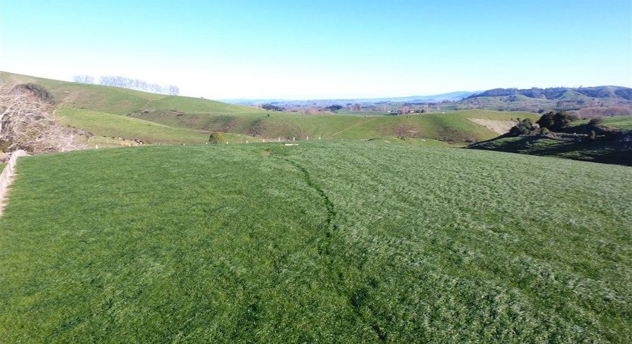  at 644B Bayley Road, Te Awamutu, Waipa, Waikato
