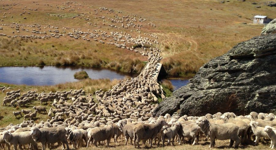  at 1109 Little Valley Road, Alexandra, Central Otago, Otago