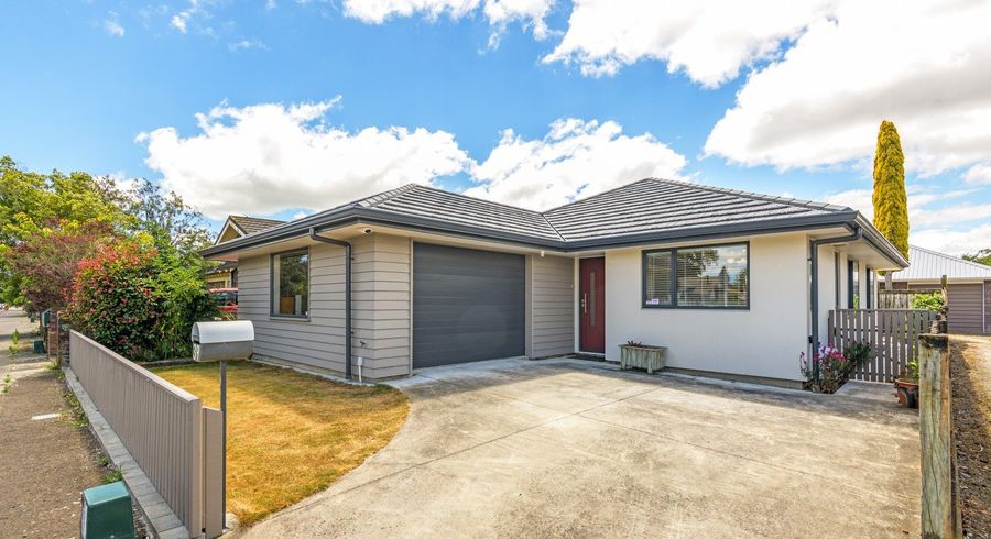  at 39 Shamrock Street, Takaro, Palmerston North