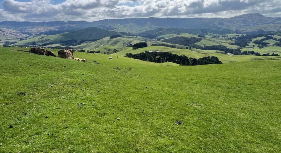  at 463 Waihi Valley Rd, Dannevirke, Tararua, Manawatu / Whanganui