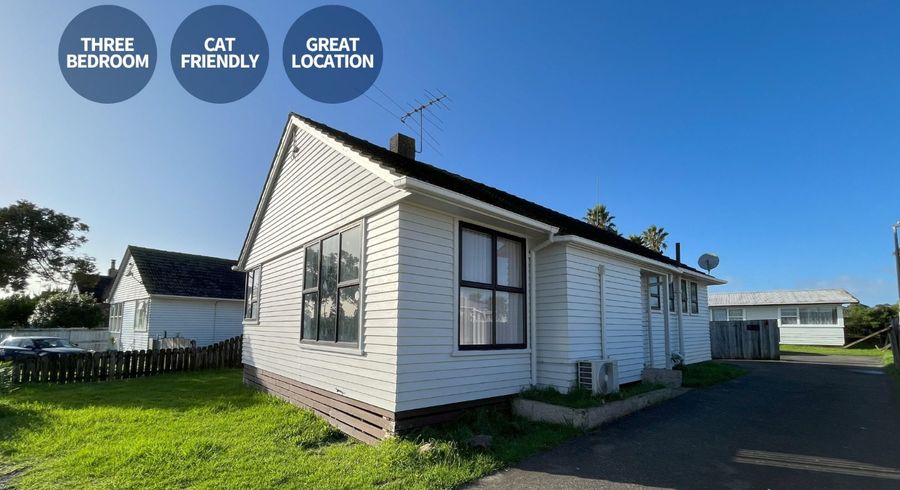  at 160 Taniwha Street, Glen Innes, Auckland City, Auckland