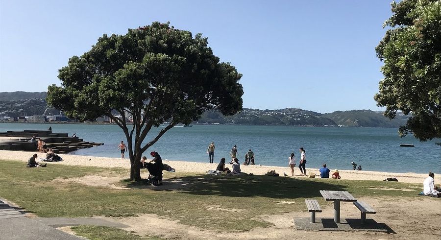  at 4/154 Oriental Parade, Oriental Bay, Wellington, Wellington