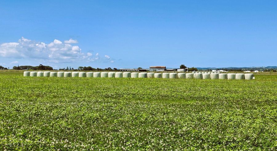  at Blong Road, Ruawai, Kaipara, Northland