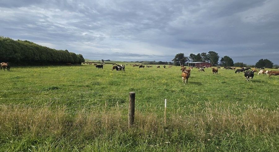  at Graves Street, Eltham, South Taranaki, Taranaki