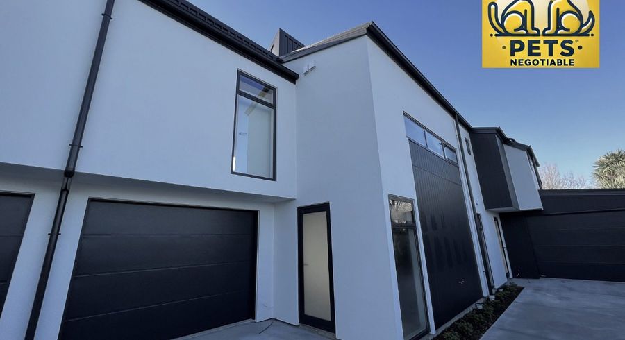  at 3/142 Milton Street, Somerfield, Christchurch City, Canterbury