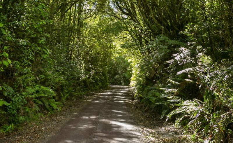  at 4/617 Oruanui Road, Taupo