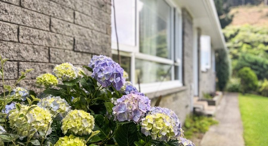  at 19 Richmond Hill, Glenside, Wellington, Wellington