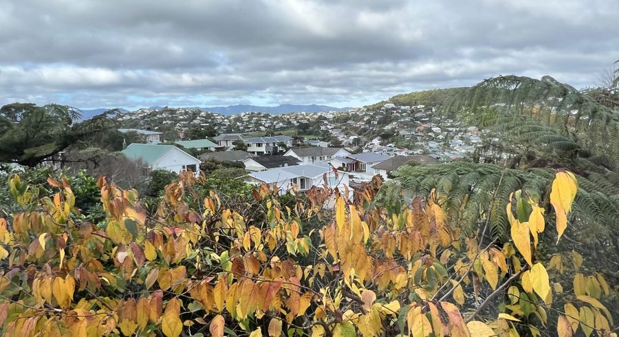  at 5 Kau Kau Way, Ngaio, Wellington, Wellington