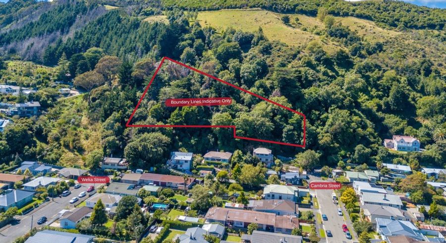  at 101 Cambria Street, The Wood, Nelson, Nelson / Tasman
