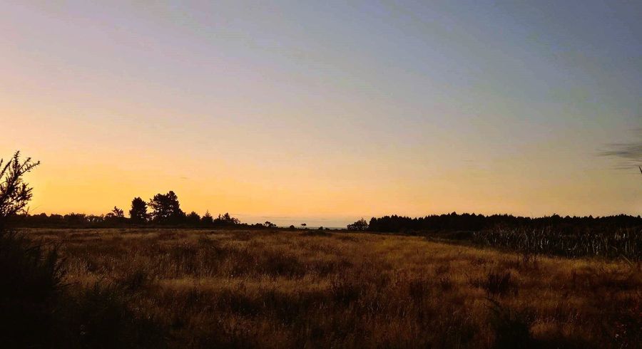  at 86 Newcastle Street, Waimangaroa, Buller, West Coast