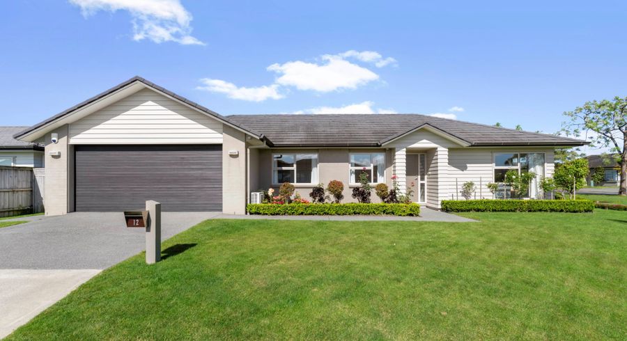  at 12 Strathaven Road, Wattle Downs, Auckland