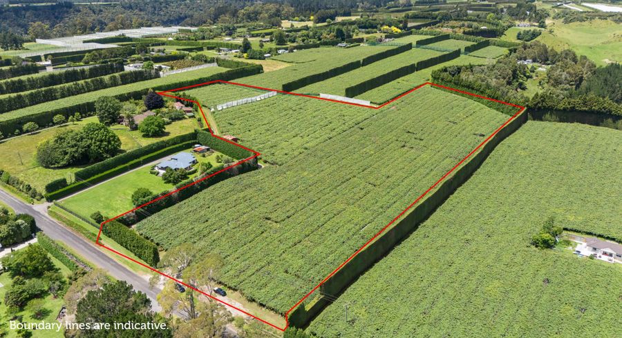  at 43 Jensen Road, Omanawa, Western Bay Of Plenty, Bay Of Plenty