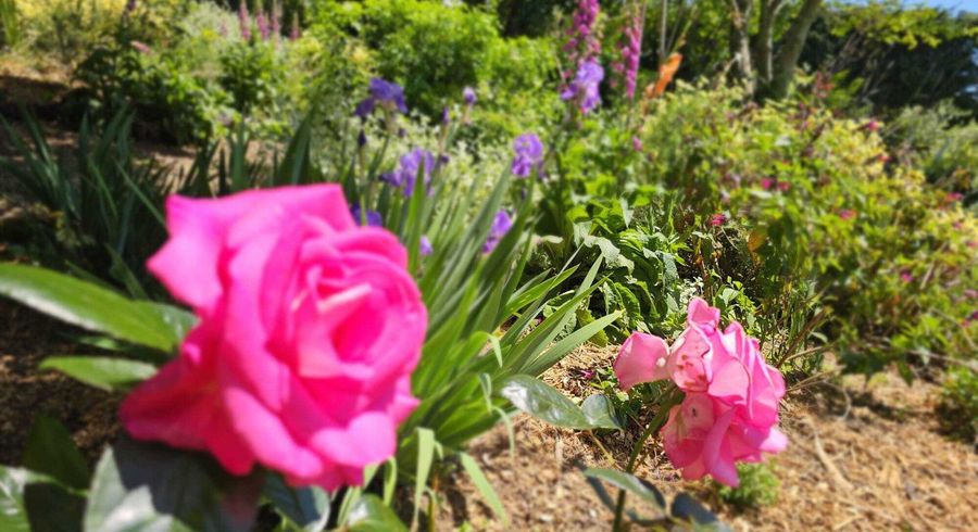  at 57 Armstrong Road, Te Puna, Western Bay Of Plenty, Bay Of Plenty
