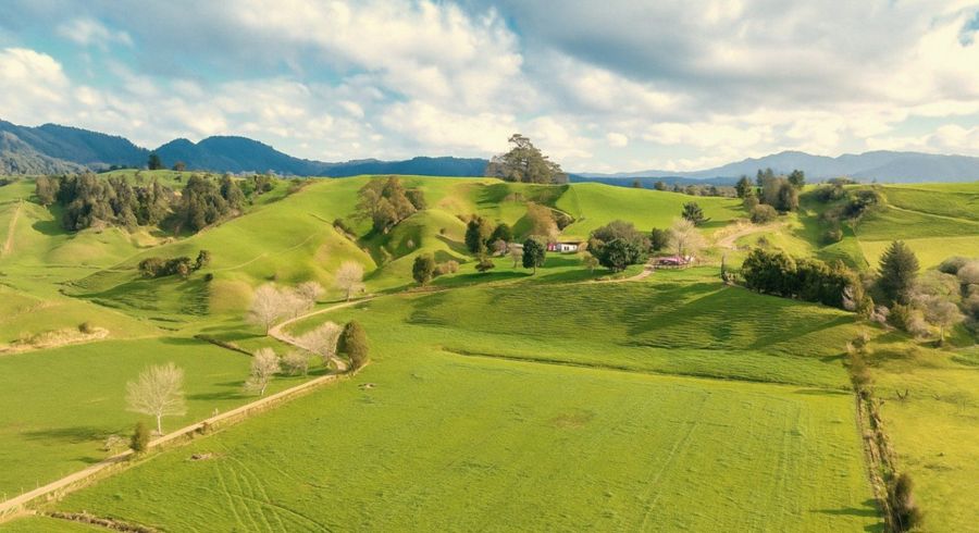  at 636 Otara Road, Opotiki, Opotiki, Bay Of Plenty