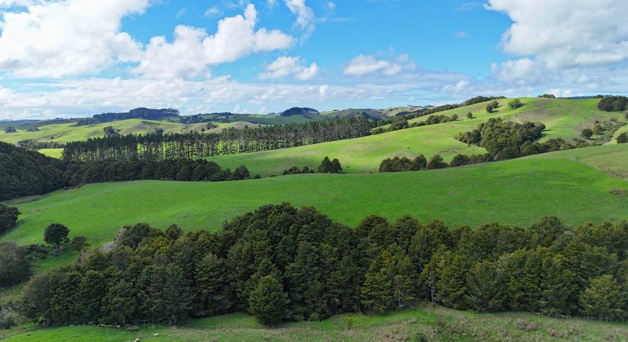  at 271 Otioro Road, Kaiwaka, Kaipara, Northland