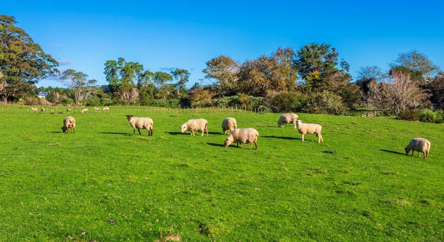  at 277 Taupaki Road, Taupaki, Rodney, Auckland