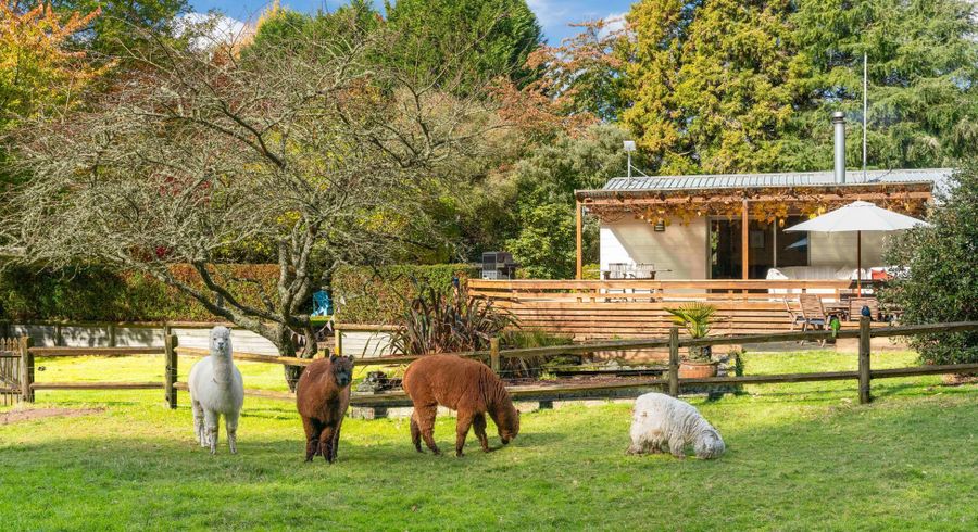  at 175 Forest Road, Taupo