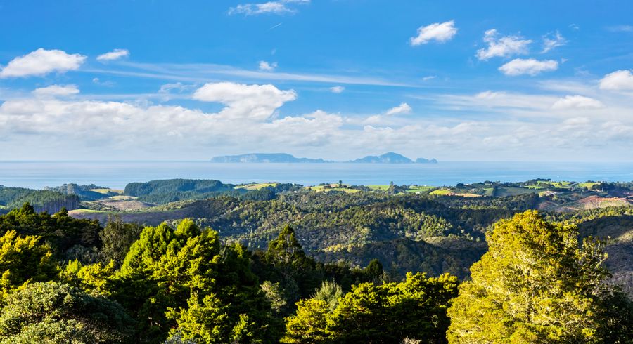  at 58 Kiwi Bush Lane, Ngunguru, Whangārei