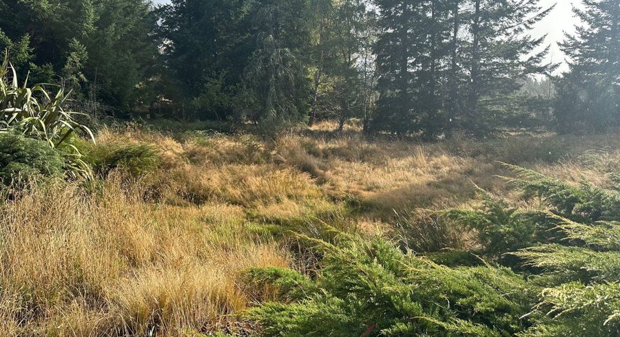  at 1 Mt Lyford Avenue, Waiau, Hurunui, Canterbury