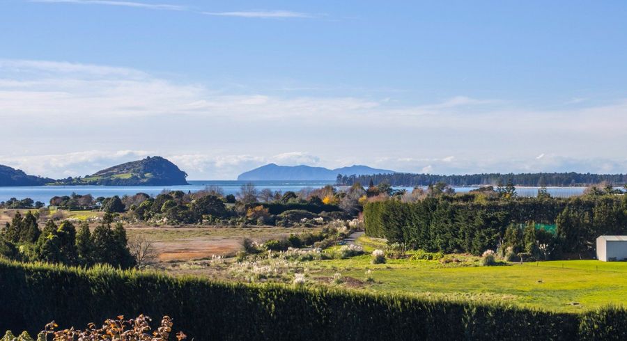 at 252 Tuapiro Road, Katikati, Western Bay Of Plenty, Bay Of Plenty
