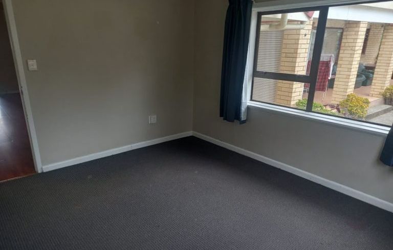  at 164a princes street east, Otahuhu, Auckland City, Auckland