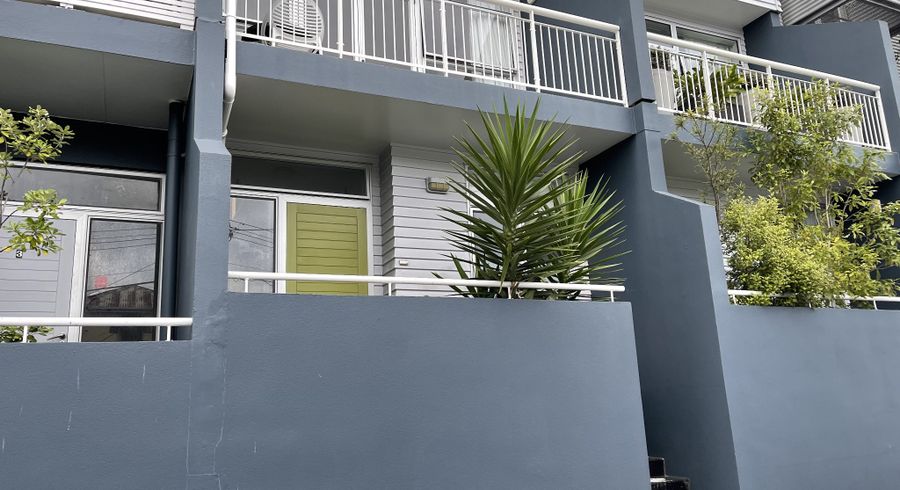  at 4/24 Hanson Street, Mount Cook, Wellington, Wellington