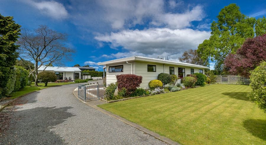  at 52 Napier Street, Jervoistown, Napier, Hawke's Bay