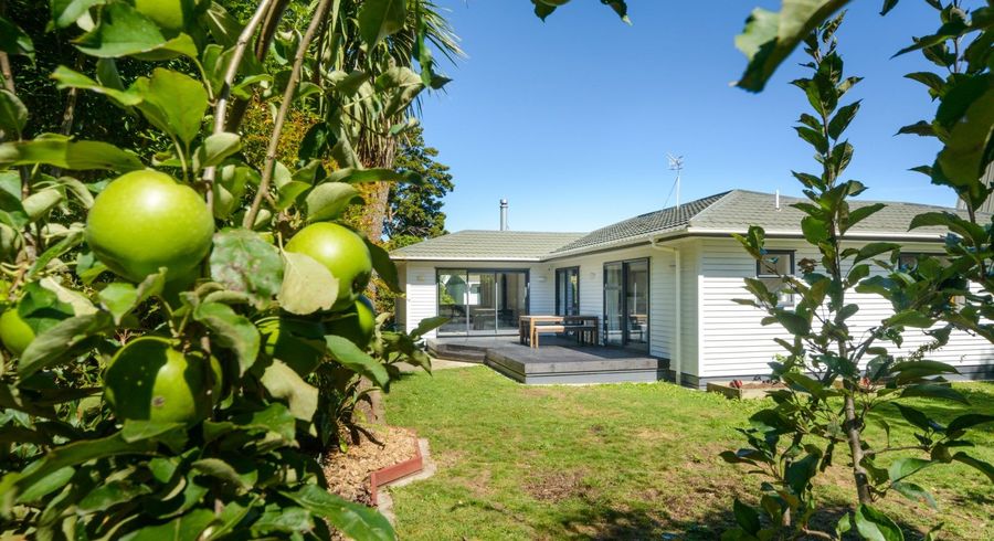  at 7 Landau Court, Ashhurst, Ashhurst