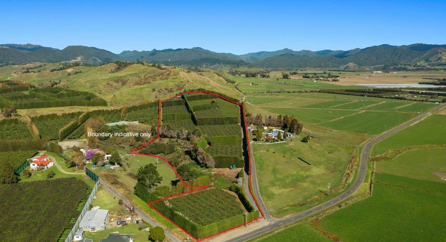  at 31 Clark Cross Road, Otara, Opotiki