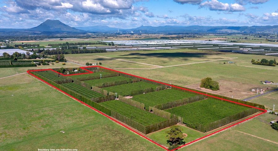  at 469 Western Drain Road, Edgecumbe, Whakatane, Bay Of Plenty