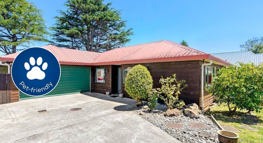  at 2/56 Banks Road, Mount Wellington, Auckland City, Auckland