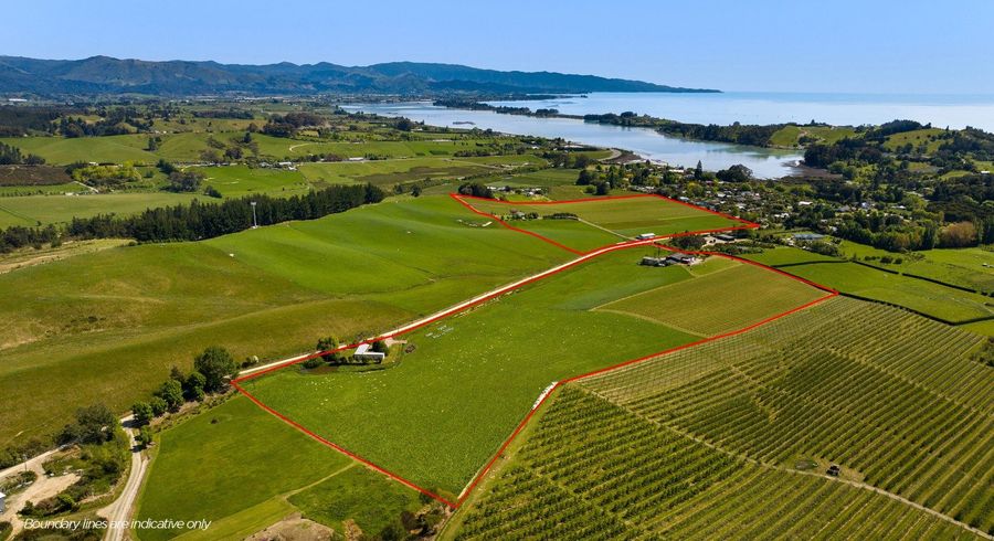  at 50 Baldwin Road, Tasman, Tasman, Nelson / Tasman