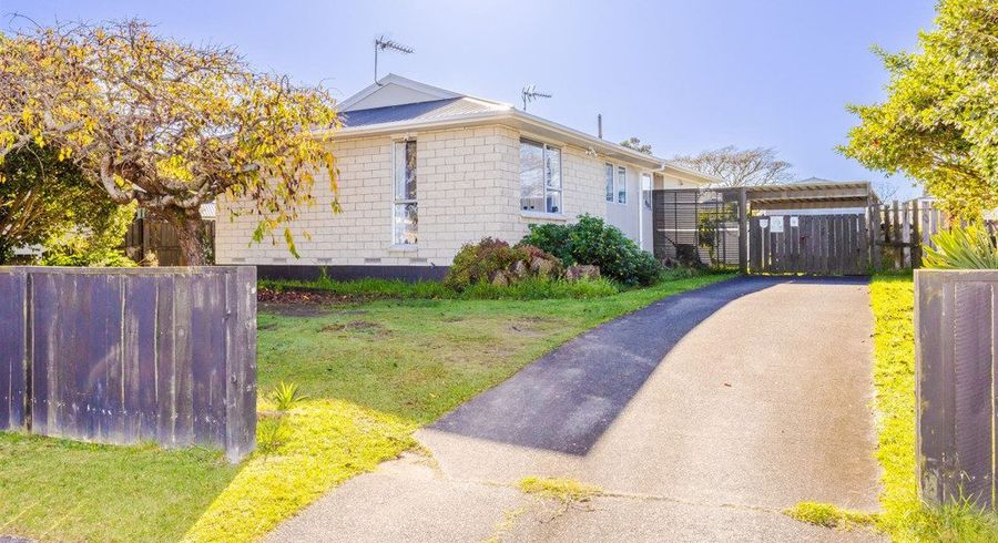  at 20 Aileen Place, Nawton, Hamilton