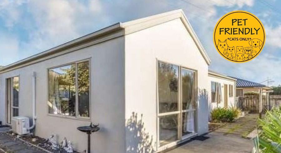  at 87a Arbor-Lea Avenue, Richmond, Tasman, Nelson / Tasman