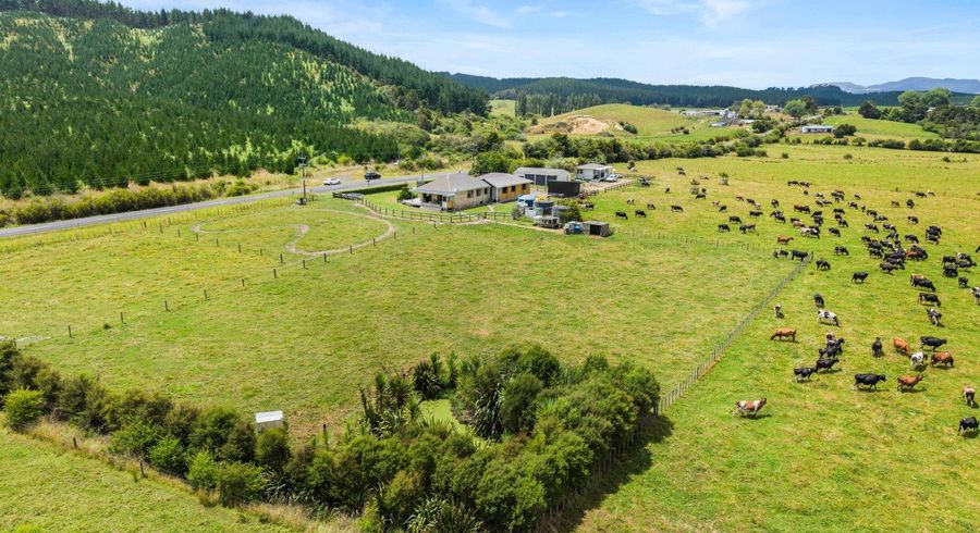  at 353 Kopuku Road, Maramarua Forest, Te Kauwhata