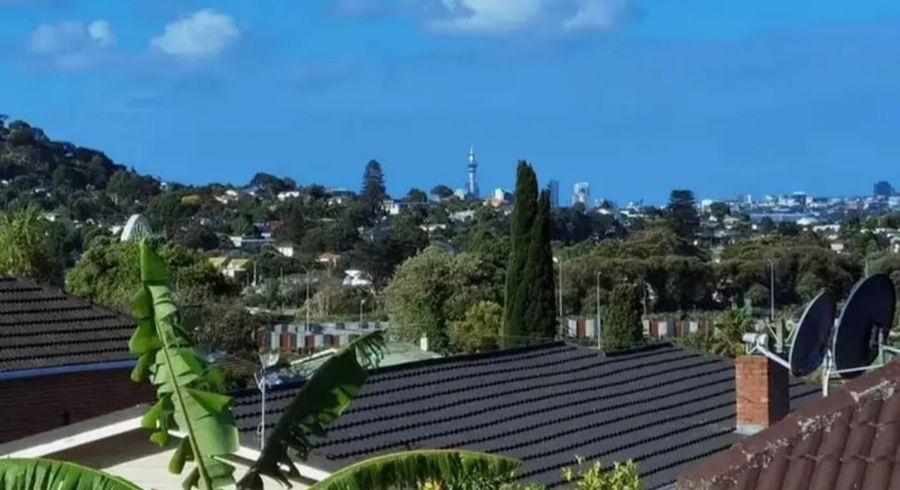  at 25A Brothers Street, New Windsor, Auckland City, Auckland