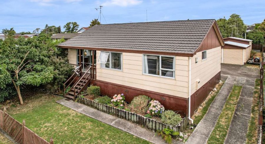  at 20 Hyde Avenue, Nawton, Hamilton