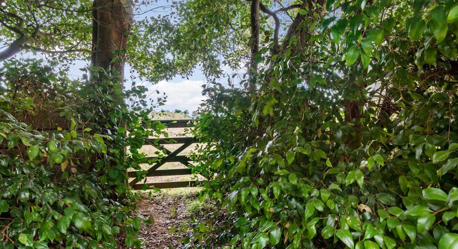  at 44 Kauri Road, Tuakau