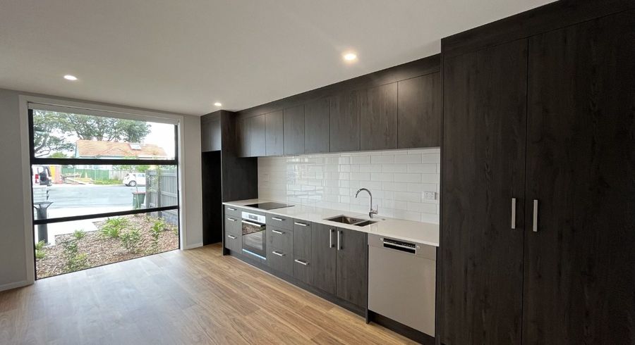  at 16 Dunkirk Terrace, Mount Albert, Auckland City, Auckland