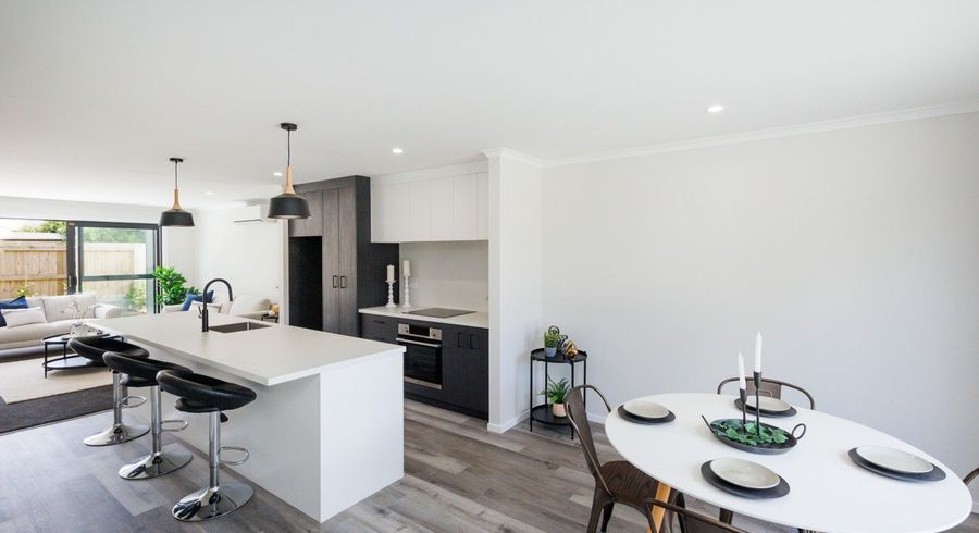  at 103 Botanical Road, Takaro, Palmerston North