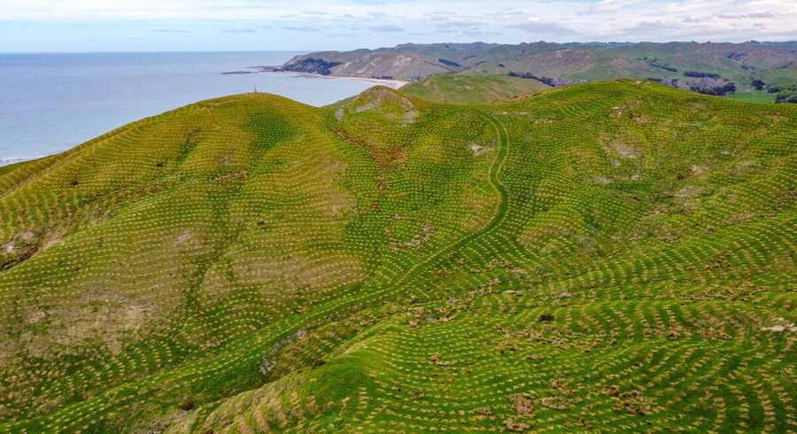  at 25 Punawaitai Road, Pourerere, Central Hawke's Bay, Hawke's Bay
