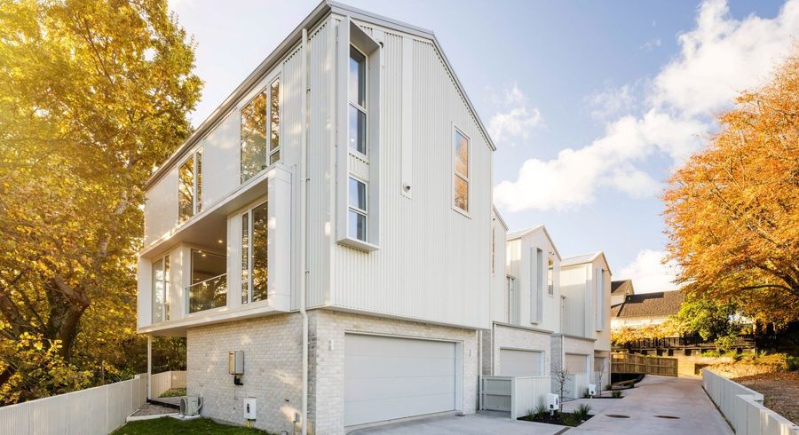  at 1/2 Woodstock Road, Fairfield, Hamilton, Waikato