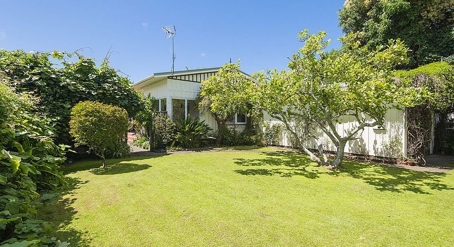  at 229 Harris Street, Inner Kaiti, Gisborne