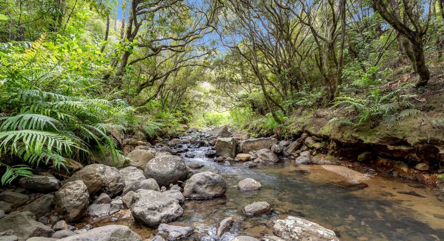  at 5 Silverstream Falls Row, Whenuakite, Thames-Coromandel, Waikato