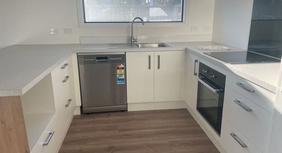  at 169 Archibald Street, Tinwald, Ashburton, Canterbury